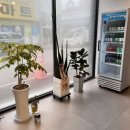 수출대로-39 이미지