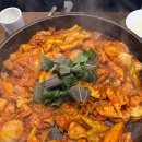 토닭토닭 이미지