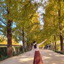 메타길5(어린이프로방스) 이미지