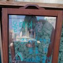 샐러드팡 이미지