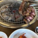 박용민의본가숯불돼지갈비 | 대구 맛집 본가숯불돼지갈비 수성못점 맛있군