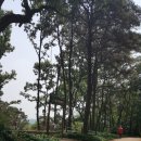 금촌유아숲체험원 이미지