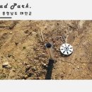 도성태양광발전소 이미지