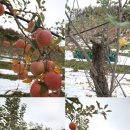 김기열 농장 이미지