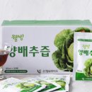 시너지라이프