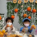 🍊감귤 농부의 귤청 만들기🍊 이미지