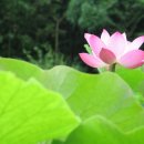인취사 - 1380 | 인취사