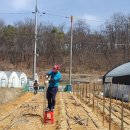 우리농장1 이미지