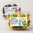 대보유통 화성(상) 휴게소 | 휴게소에서만 판다는 스윗팡팡 애플토마토 구매처부터 가격, 맛 후기 총정리