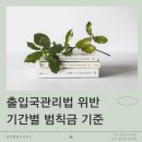 정진행정사사무소 이미지