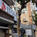 돈불석쇠구이 이미지