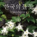 도서출판 돌베개 이미지
