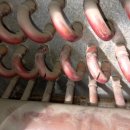 동관농장 이미지