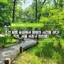 헌인릉 | <#포레스트여행기> 조선 왕릉 숲길에서 힐링의 시간을 갖다! (ft. 서울 서초구 헌인릉)