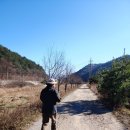 효석문학100리길 제2구간 이미지