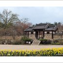 예산-04 이미지