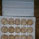 화진2농장 이미지