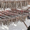 황태농산물판매장