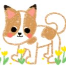 애견팡팡 이미지