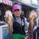 남해수산 16-1 이미지