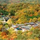 하동