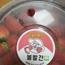 청도 농부점빵 + 청도 버던트 카페 내돈내산 후기
