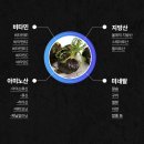 헬시드림 블랙마카_블랙마카 효능 공복 섭취 후 변화 비교