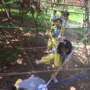 대장나무숲놀이터 이미지