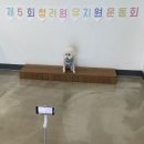 (주)청려원 이미지