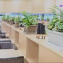 진평프라자 이미지