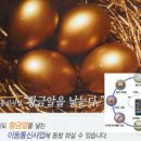 와이통신 이미지