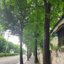 화도진중학교 | 인천역 - 북성포구 - 동일방직 - 만석동행정복지 - 화도진공원 - 괭이부리마을 - 만석부두 - 화수부두...