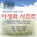 전국야생화전시회 Daum카페