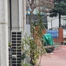 보궁쌈밥 이미지