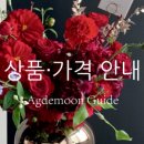 아그데문