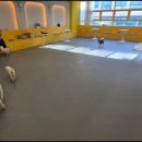 멍쉬멜로 이미지