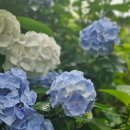 뮤지컬스푼 난타(4~6) | 낭만여행 꽃 보다 친구 - 제주 난타 공연 후기