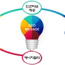 에코그루