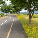 명례성지화장실 이미지