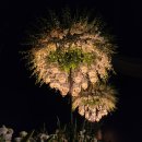 그랜드웨딩뷔페 이미지