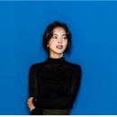 디솔루션스