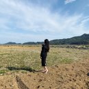 진동돌장어 이미지