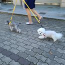 21세기연합소아과의원 이미지