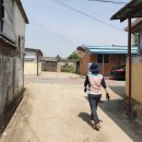 낙동1리마을회관 이미지