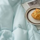 코코세탁 이미지