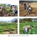 희망농장2 이미지