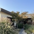 현풍로 | 대구 현풍 고양이 카페 스몰버드 후기, 아기랑 꼭 가봐야 할 곳