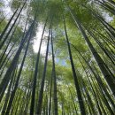 튼튼한태권도 이미지