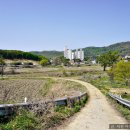 신둔천 예쁜길 이미지