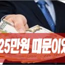 [자유정의시민연합 시론] 더불당의 25만원 지급 악법제정에 대통령은 즉각 거부권을 행사하라! 이미지